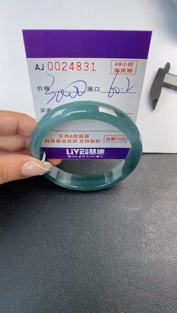 未镶嵌手镯翡翠天然A货翡翠