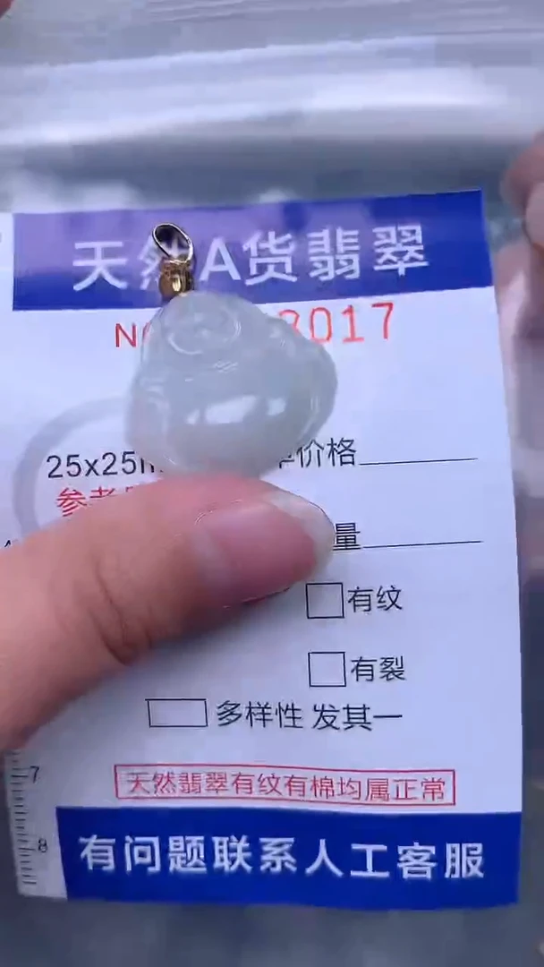 翡翠未镶嵌吊坠(不含链)1