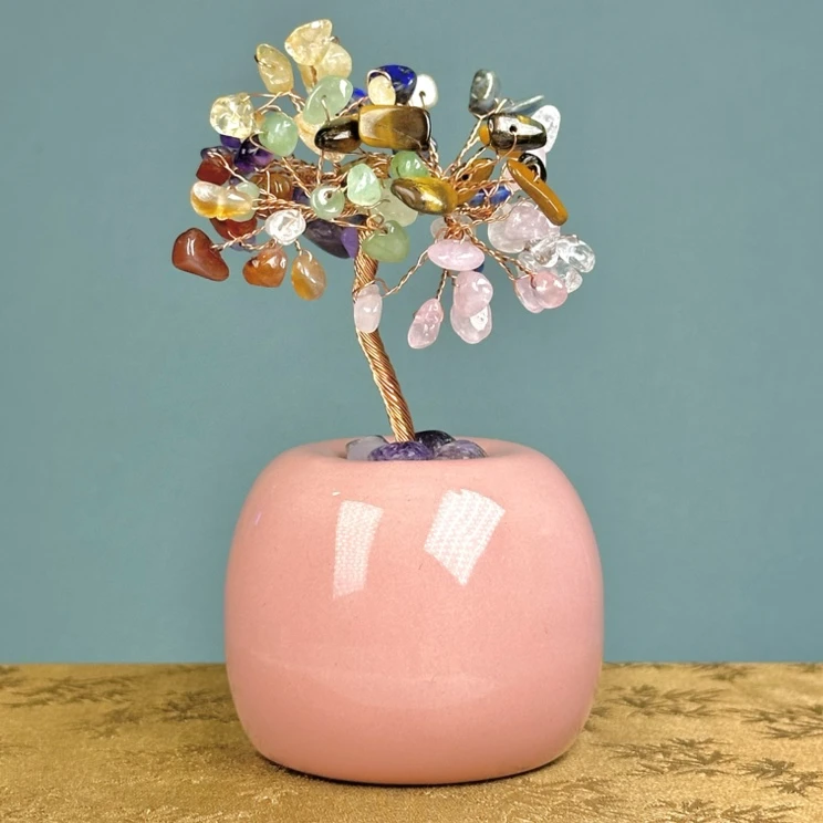 苹果水晶多宝树 (多样性发一）