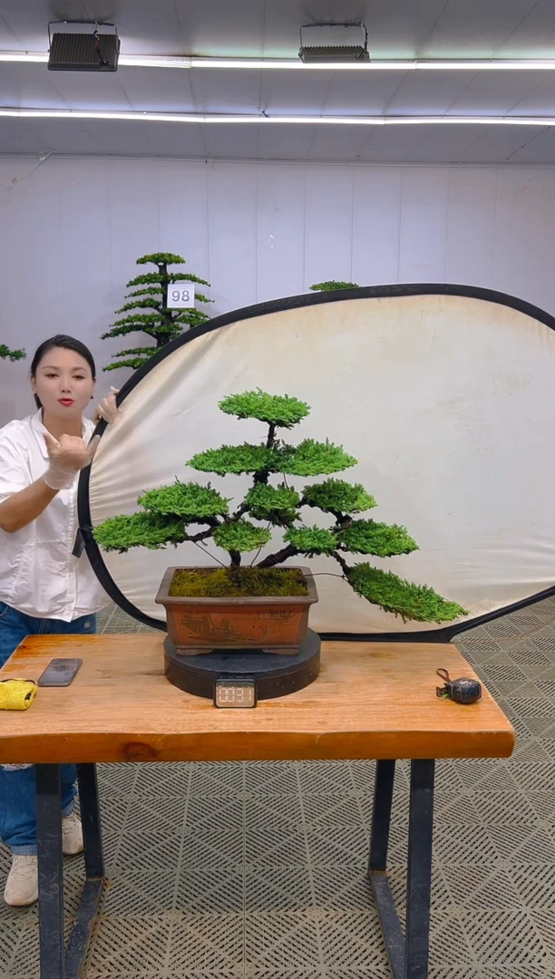 无花朵一物一拍一物一拍