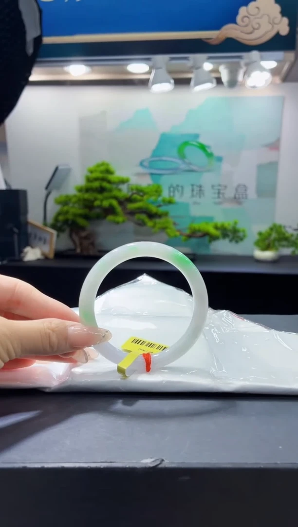 未镶嵌手镯翡翠5