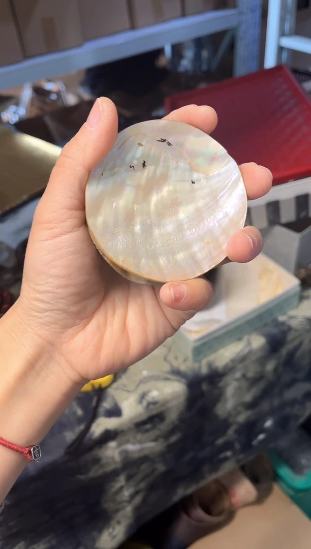 【闪购商品】贝壳杯托 13216548942