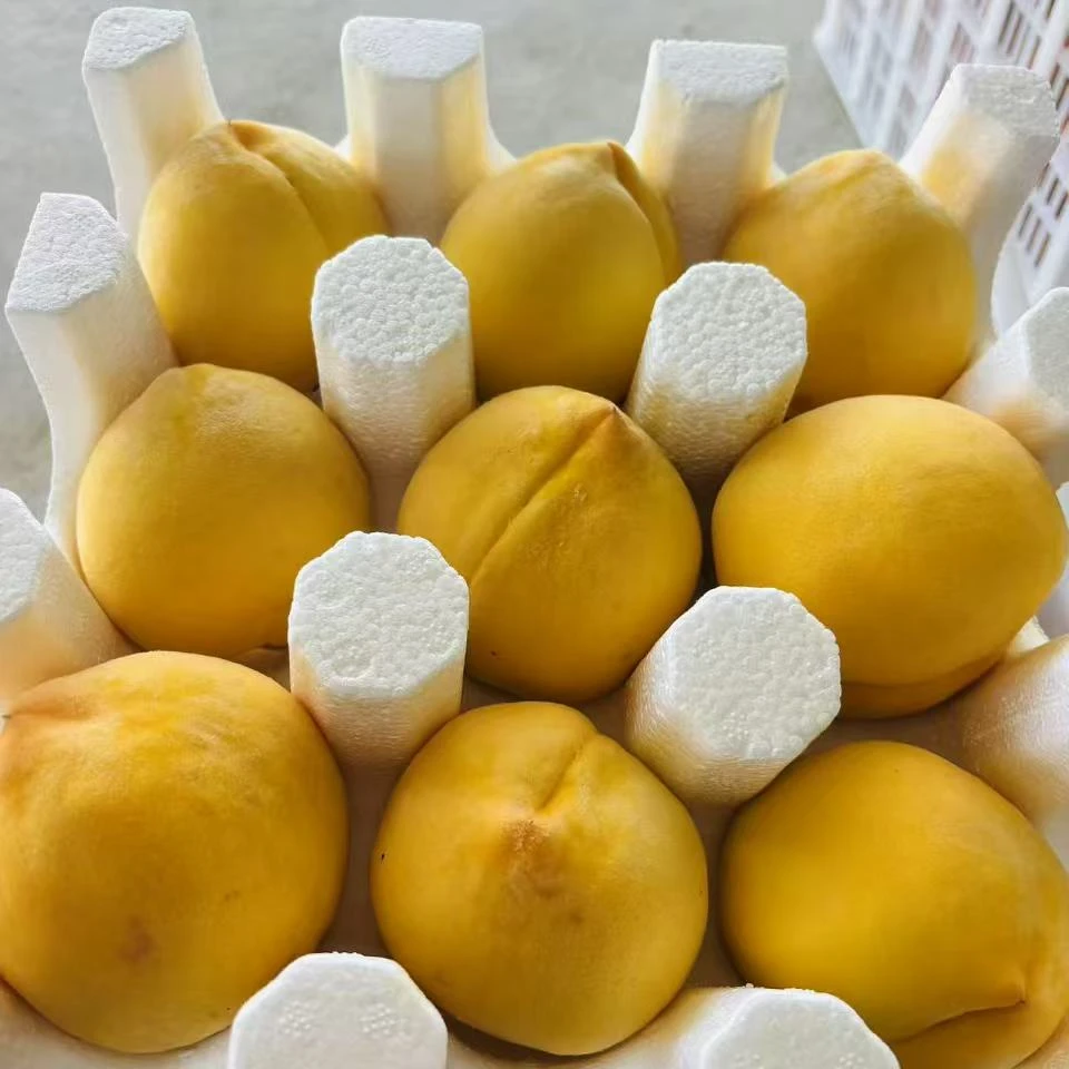 河南锦绣黄桃大黄桃脆软两吃当季时令水果