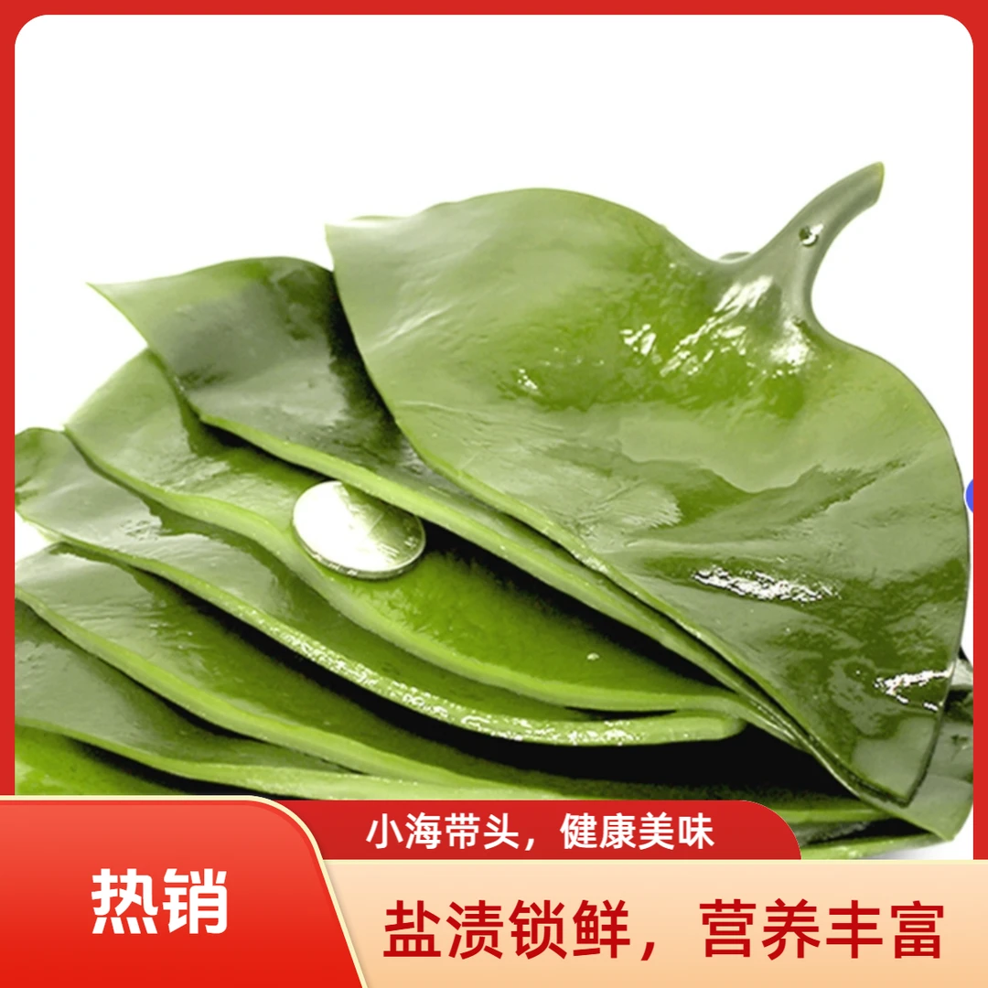 大连特产新鲜盐渍小海带头营养丰富老少皆宜脆爽可口