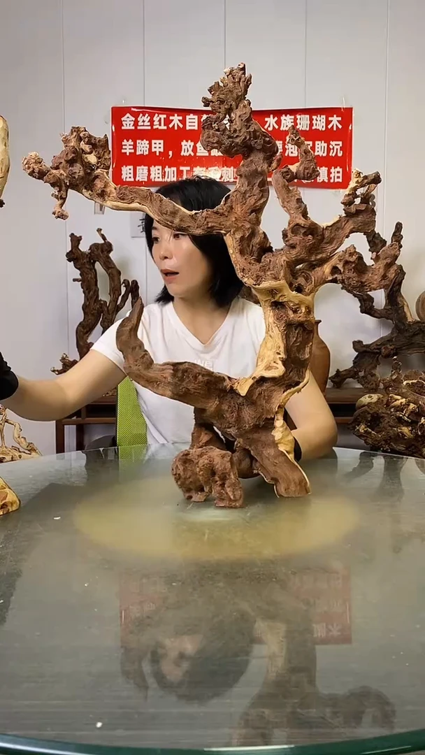 香榧木唯*金丝红木   羊蹄甲