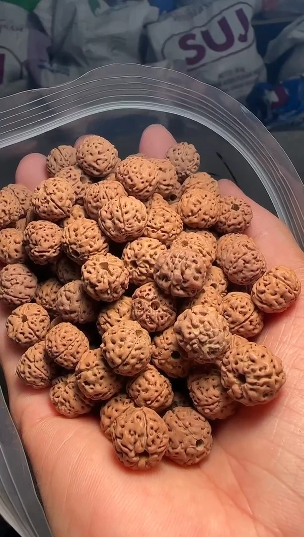 手串金刚菩提非全品老树王散籽12-13mm一份一百颗