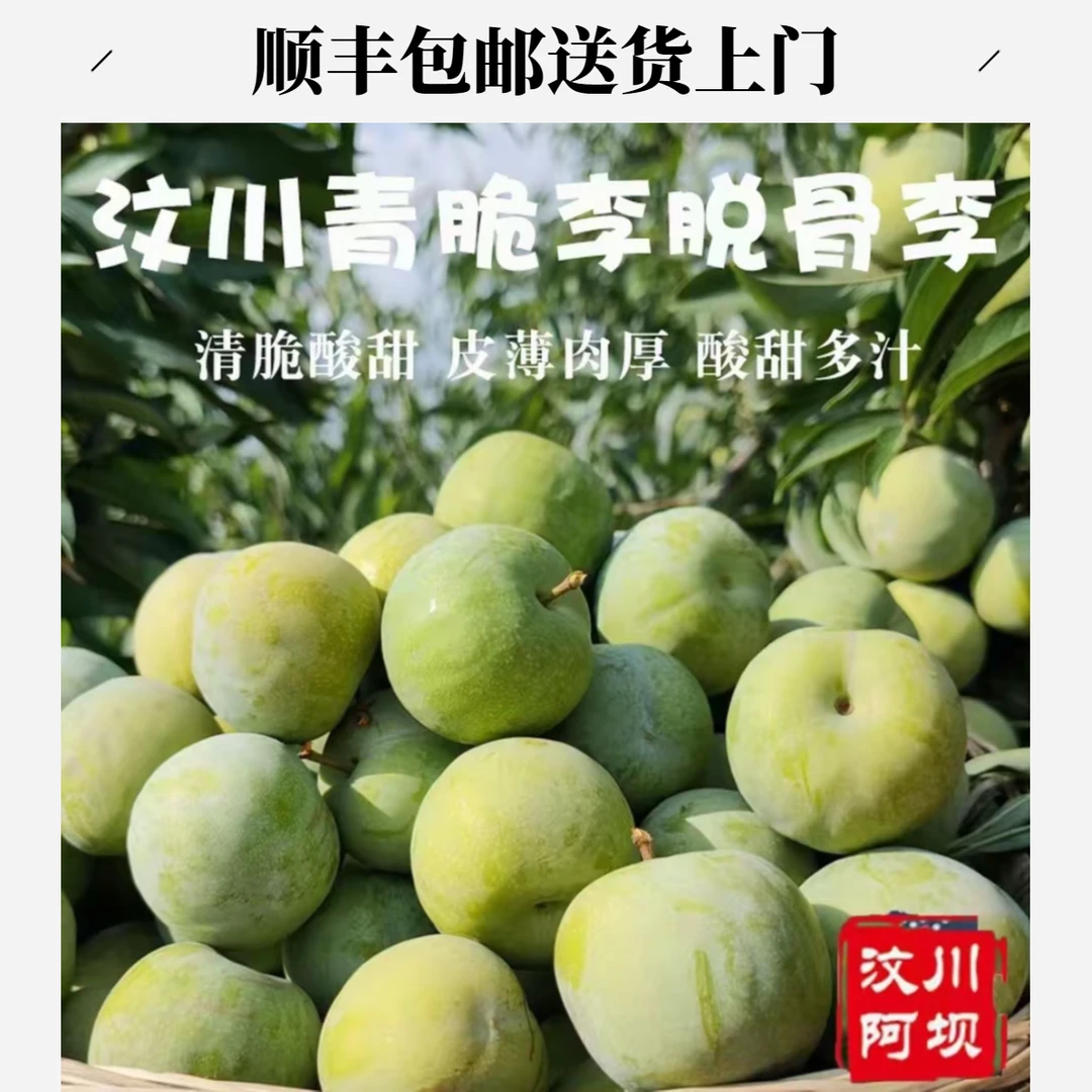 【顺丰包邮】正宗汶川茂县脱骨青脆李脆甜李子空心李脆骨李现摘现发