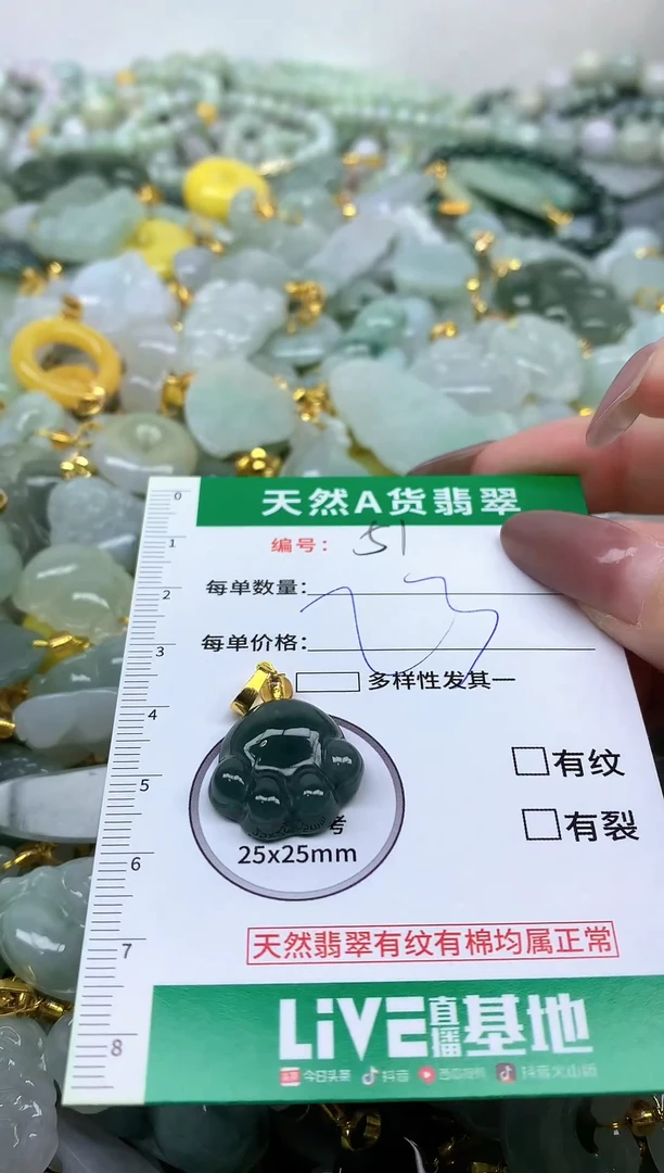 颈饰未镶嵌翡翠纯天然缅甸A货翡翠-51