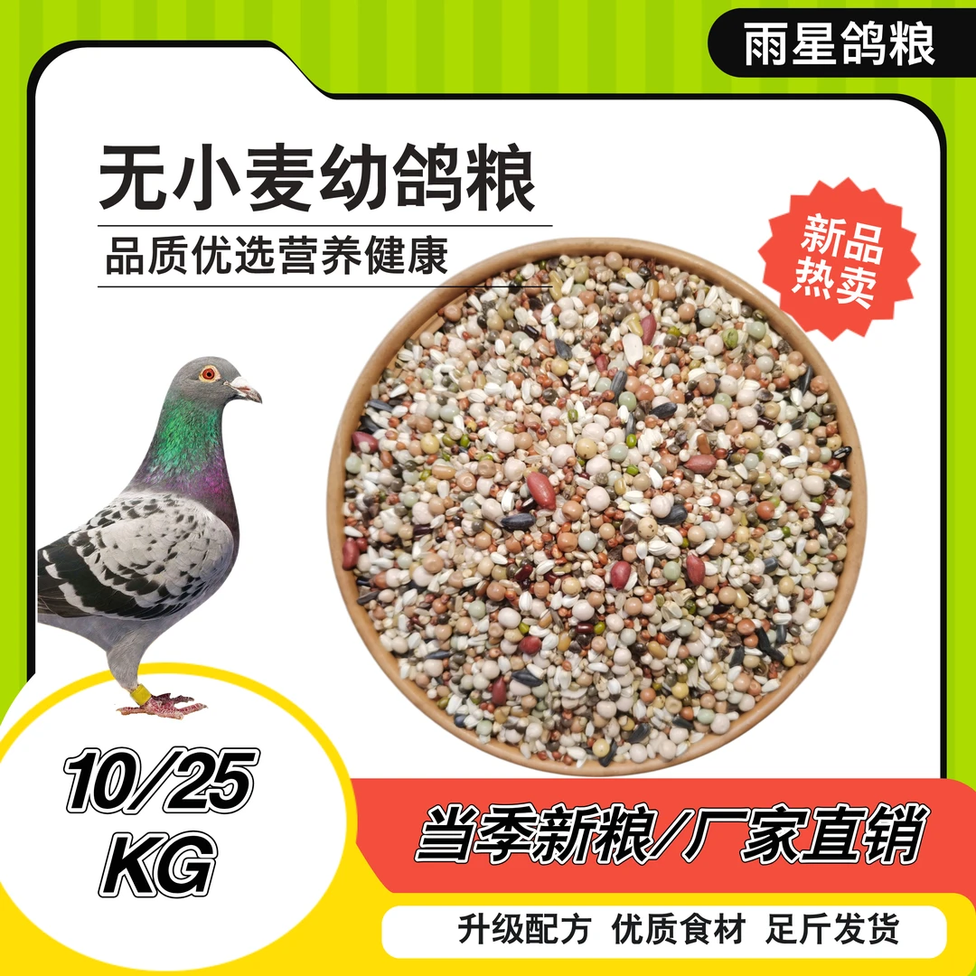 雨星鸽粮精品无小麦幼鸽粮种鸽粮5kg10kg鸽子粮鸽子粮食