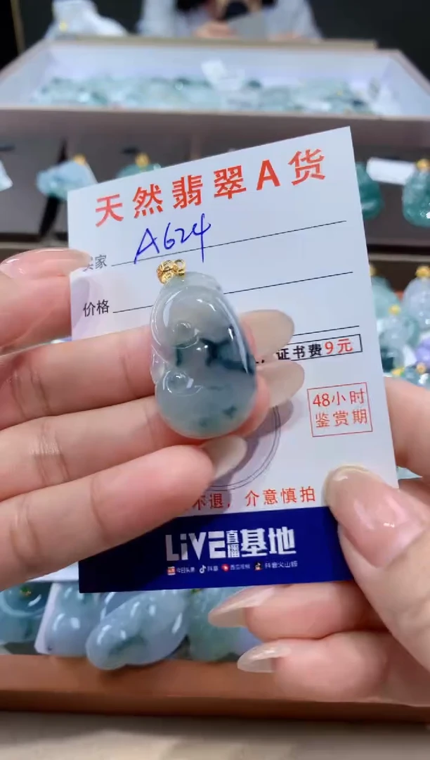 颈饰未镶嵌翡翠天然缅甸翡翠A货挂件