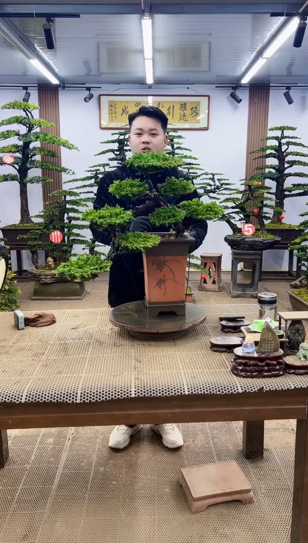 【闪购商品】0000000000