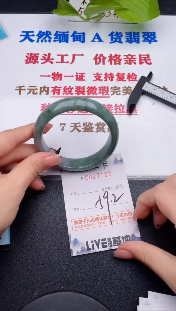 未镶嵌手镯翡翠23