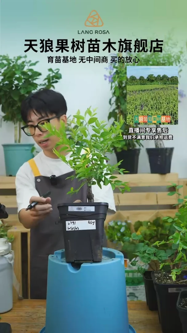 十**?一物一拍 蟠枣 2.8L GSX103