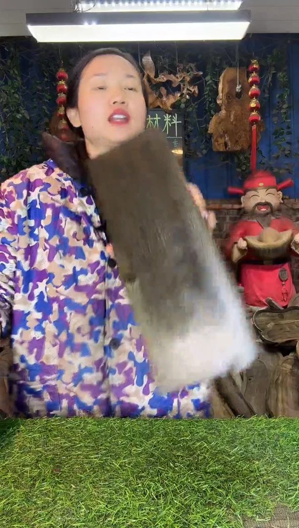 金丝楠小叶桢楠6