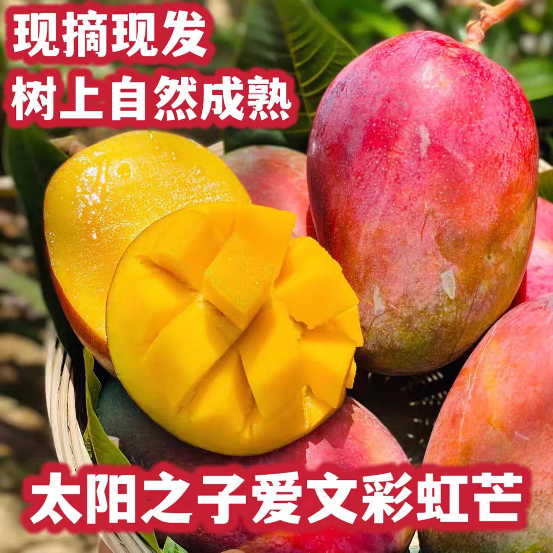 【放软吃】攀枝花彩虹芒果太阳之子新鲜香甜多汁细腻肉嫩坏果包赔
