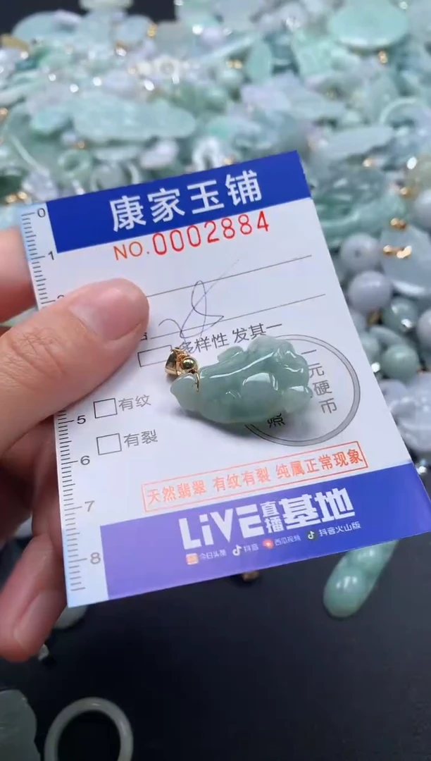 颈饰未镶嵌翡翠2884