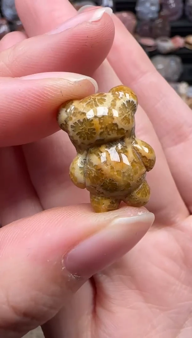 颈饰未镶嵌硅化珊瑚（珊瑚玉）782