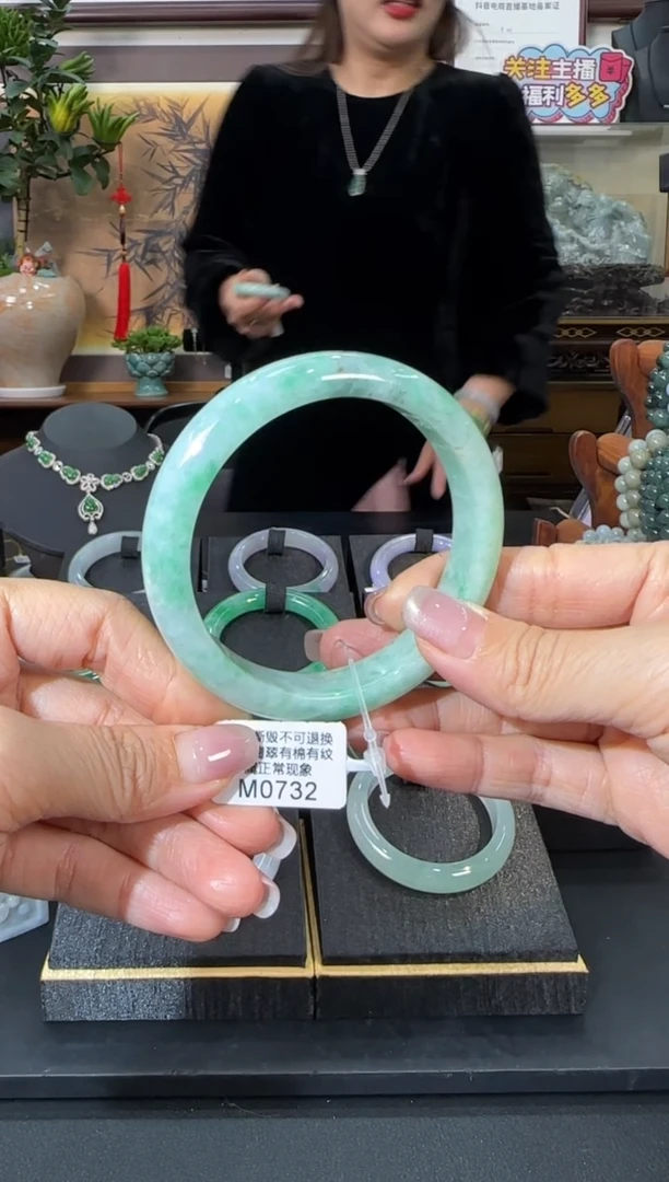未镶嵌手镯翡翠M0732   正圈54