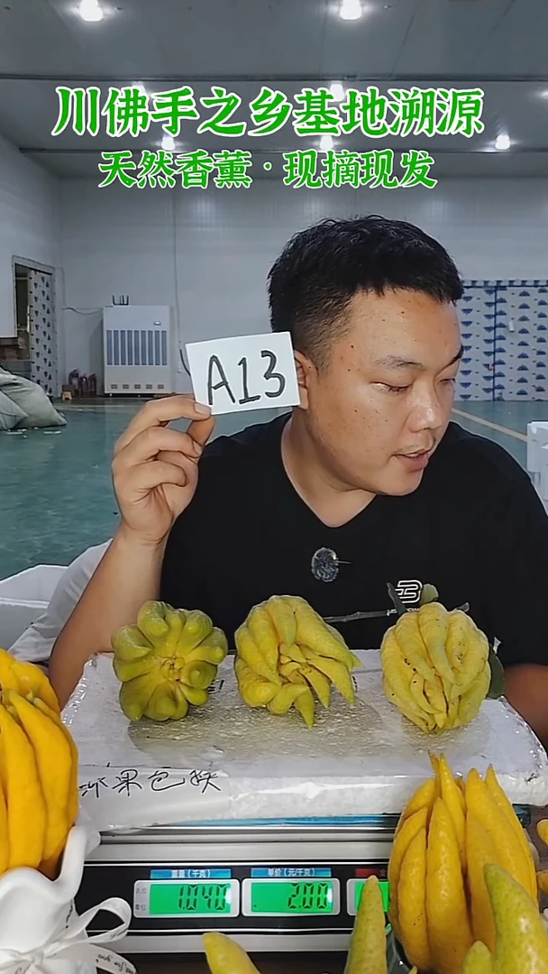 柑橘【一物一拍】川佛手柑鲜果带枝高山佛手柑A13