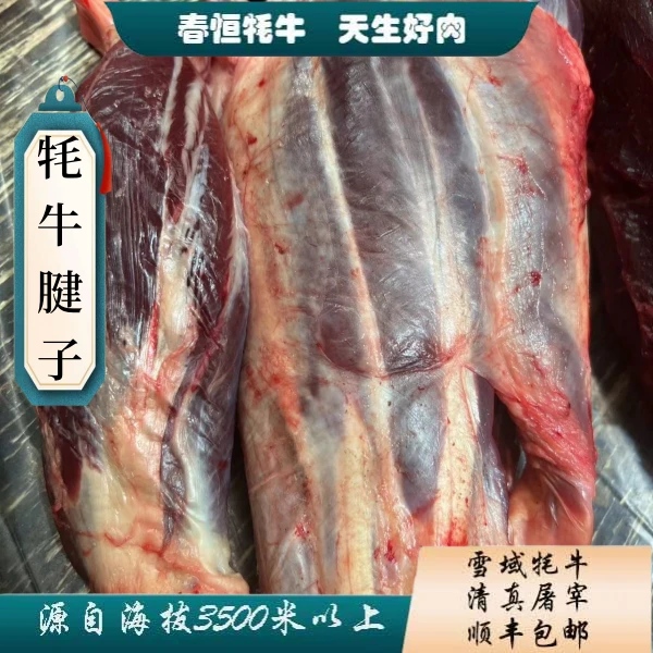【牦牛前腱】4斤 有牦牛毛  酱卤/凉拌 青藏高原牦牛肉 甘肃