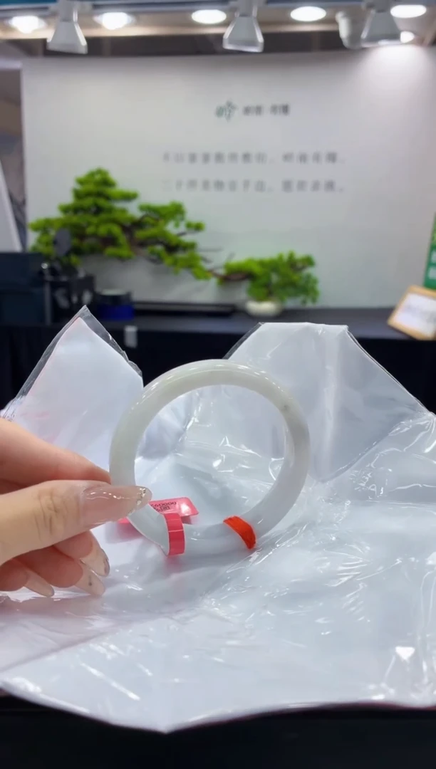 未镶嵌手镯翡翠12