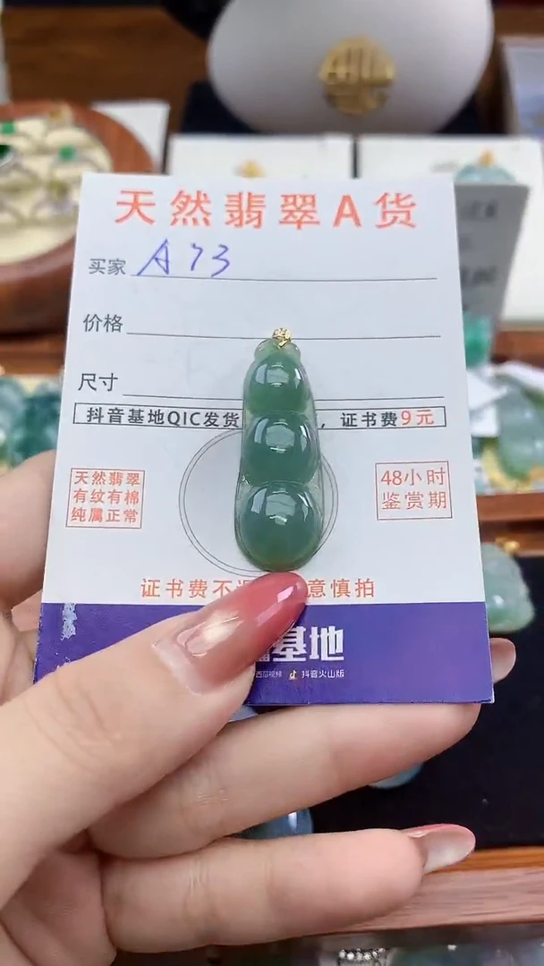 颈饰未镶嵌翡翠天然A货翡翠挂件