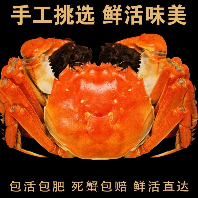 【活蟹】精品大闸蟹现捕现发公4.5-4.2两母3.5-3.2两8-10只H