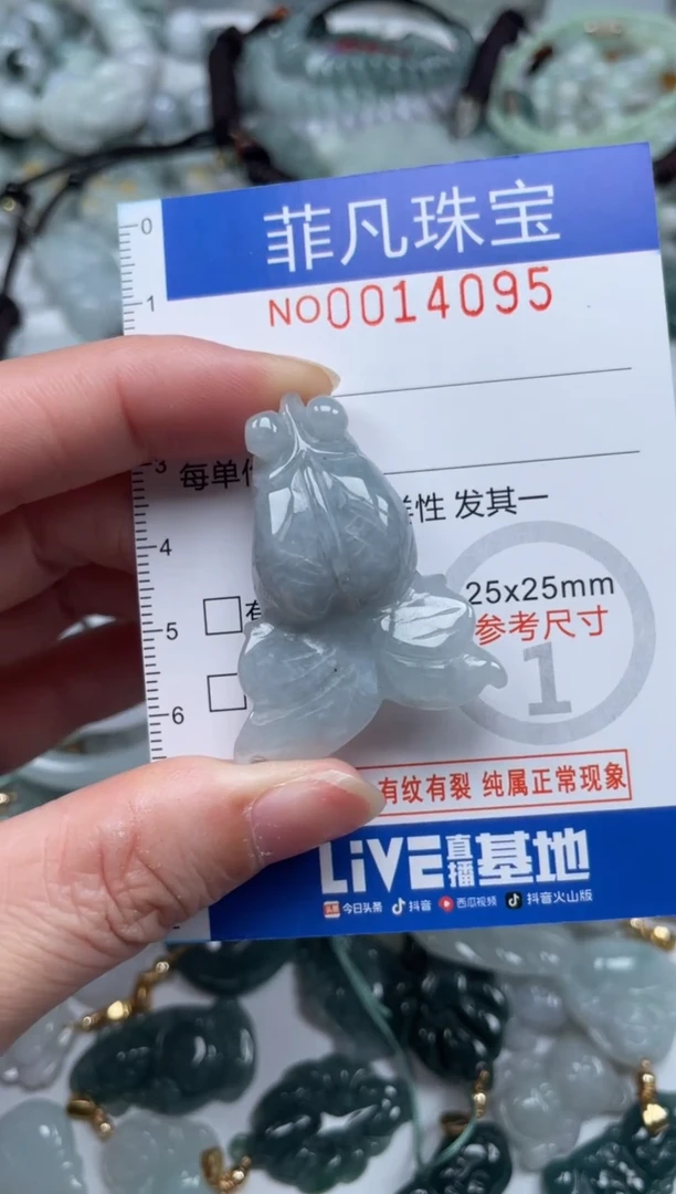 颈饰未镶嵌翡翠14095