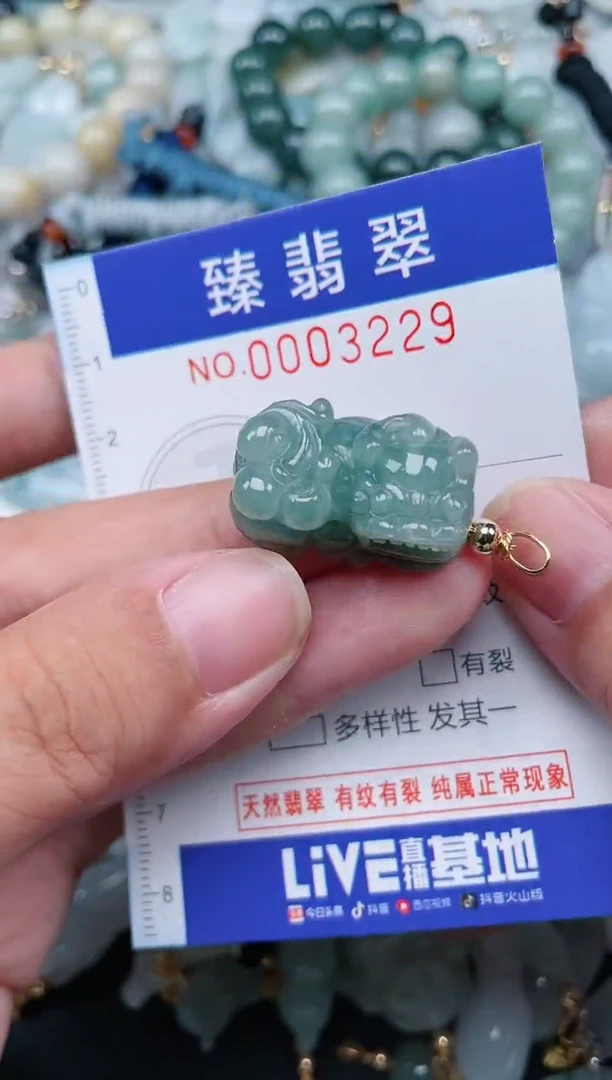翡翠未镶嵌颈饰.0003229