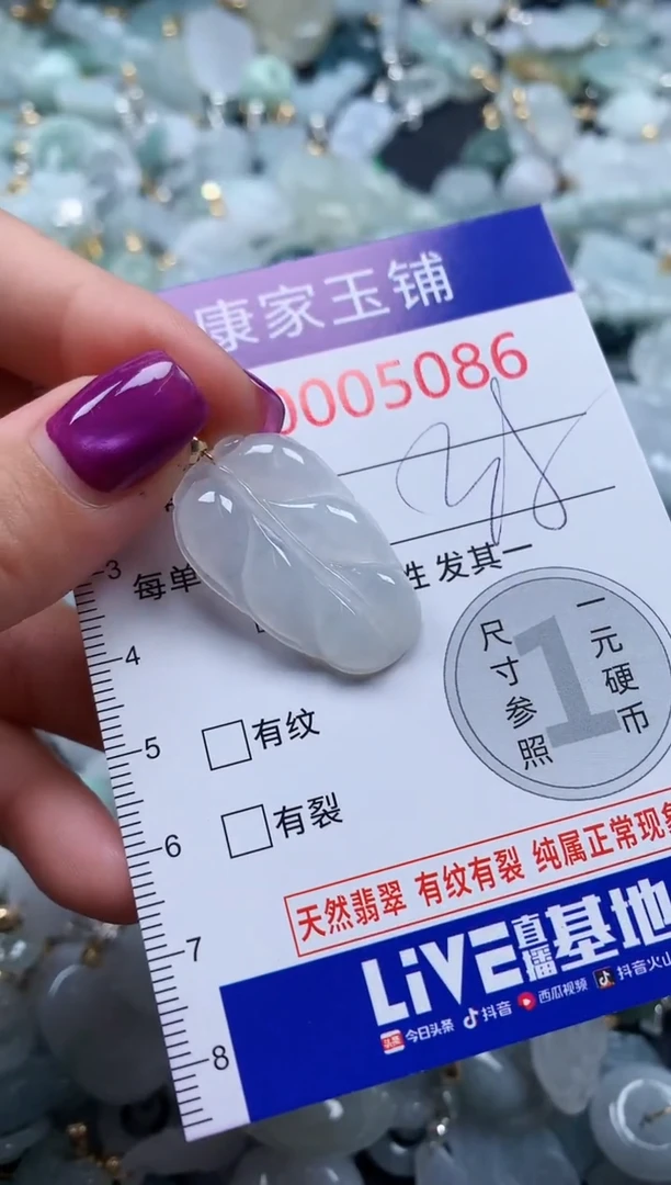 颈饰未镶嵌翡翠5086