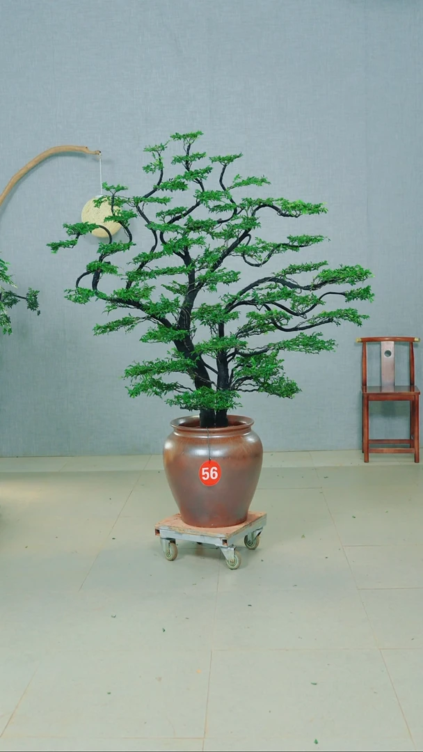 无花朵遇****然广东小叶紫檀