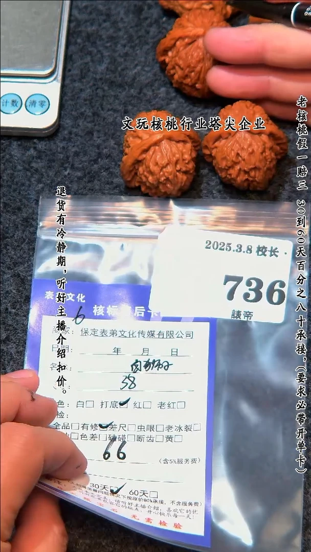 【闪购商品】文玩核桃把件736白狮子