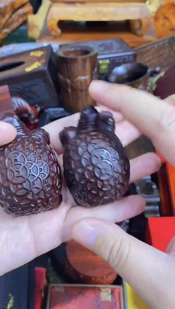 木金钱龟2直播推荐直播推荐