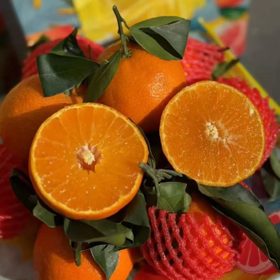 【顺丰包邮】“小金牛”巨无霸大果 象山红美人一箱 毛重8.5斤左右