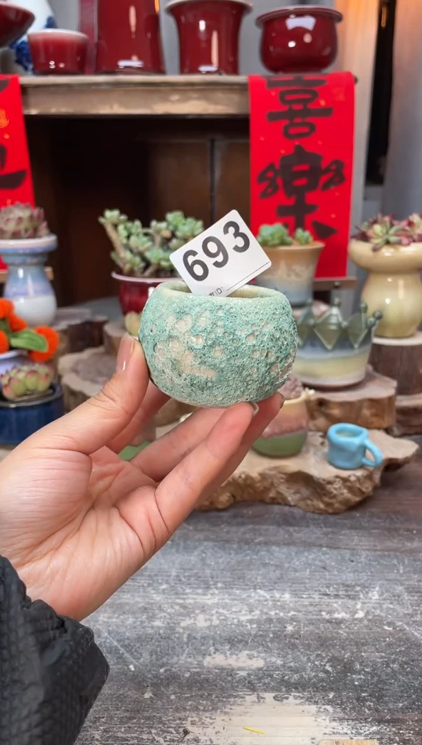 【闪购商品】摆件693知木小芳花盆