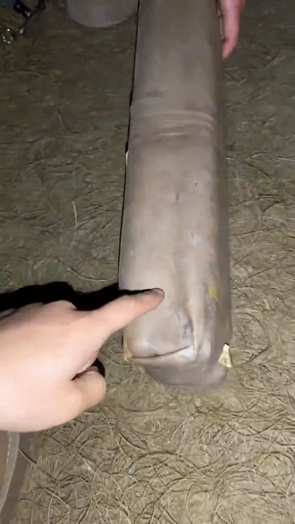 香榧木一一一一一一一一福利