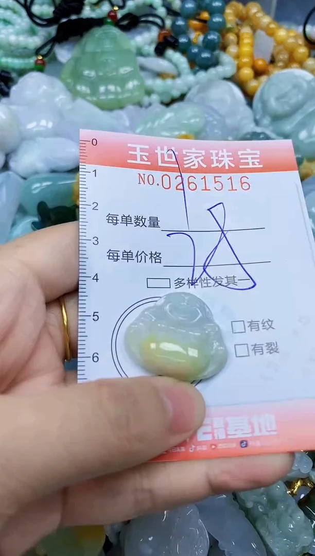翡翠未镶嵌颈饰闪购0261516
