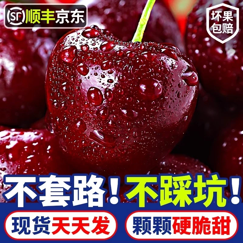 【硬脆甜】智利桑缇娜黑车厘子3J-5JD空运新鲜内附果径卡QH5