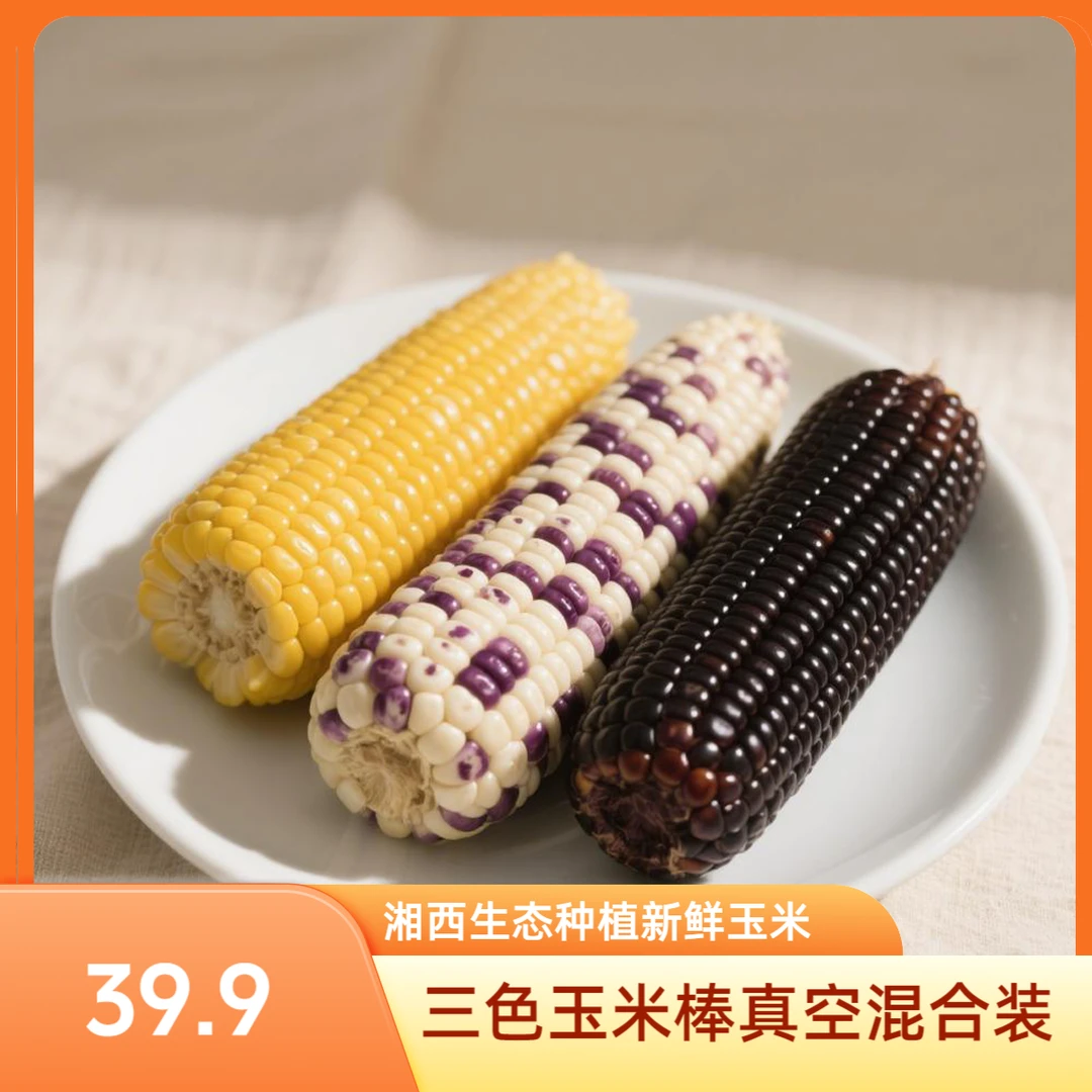 湘西生态种植带种植新鲜玉米三色玉米棒真空混合装加即食