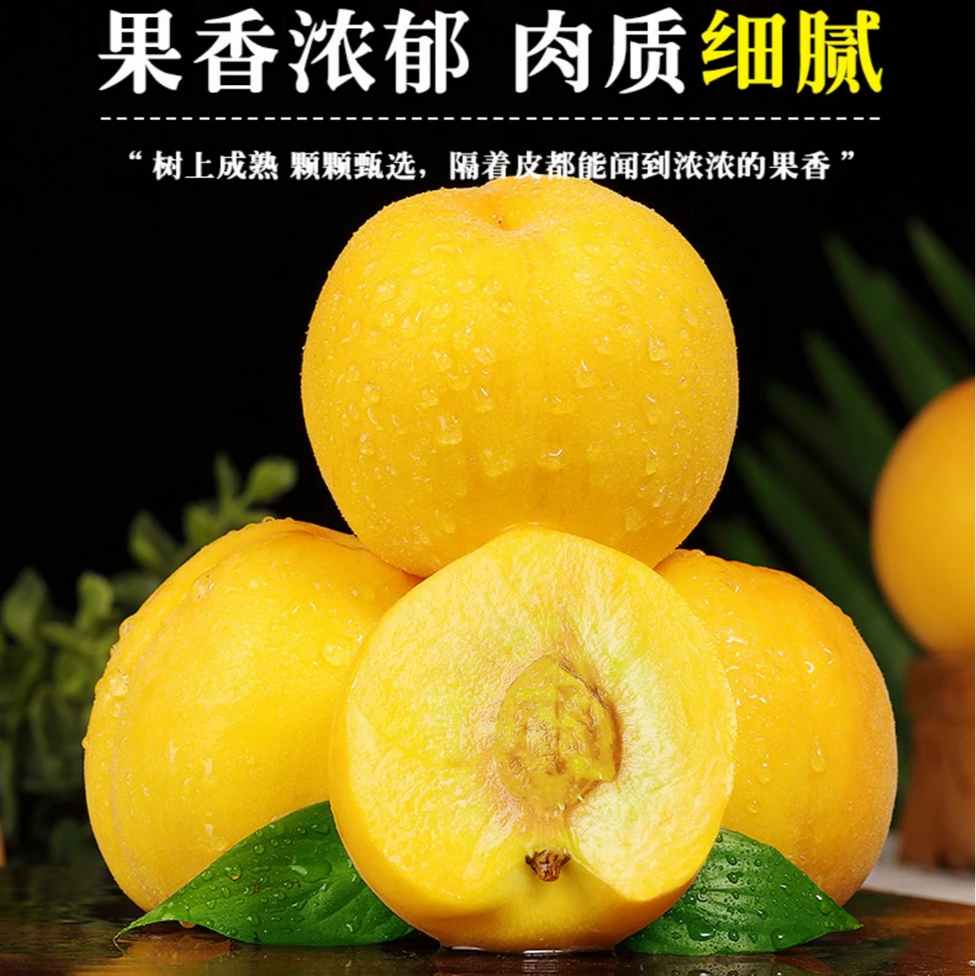 山东蒙阴锦绣黄毛桃4.5斤装新鲜水果应季果香浓郁