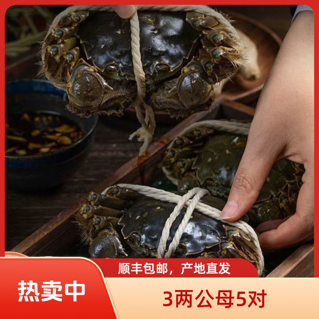 【活蟹现发 公3两 母3两 4-6对】精品大闸蟹 产地直发 顺丰包邮