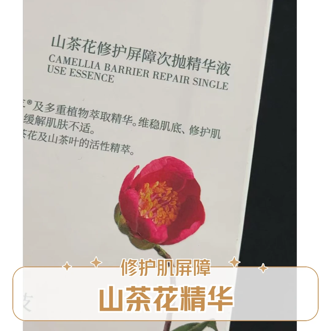 【林家】山茶花修好屏障次抛精华液
