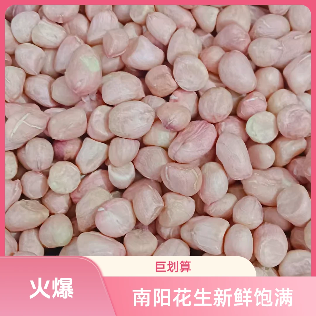 河南南阳大白沙新鲜大颗粒新鲜生2025年乡村食用农产品生花生米