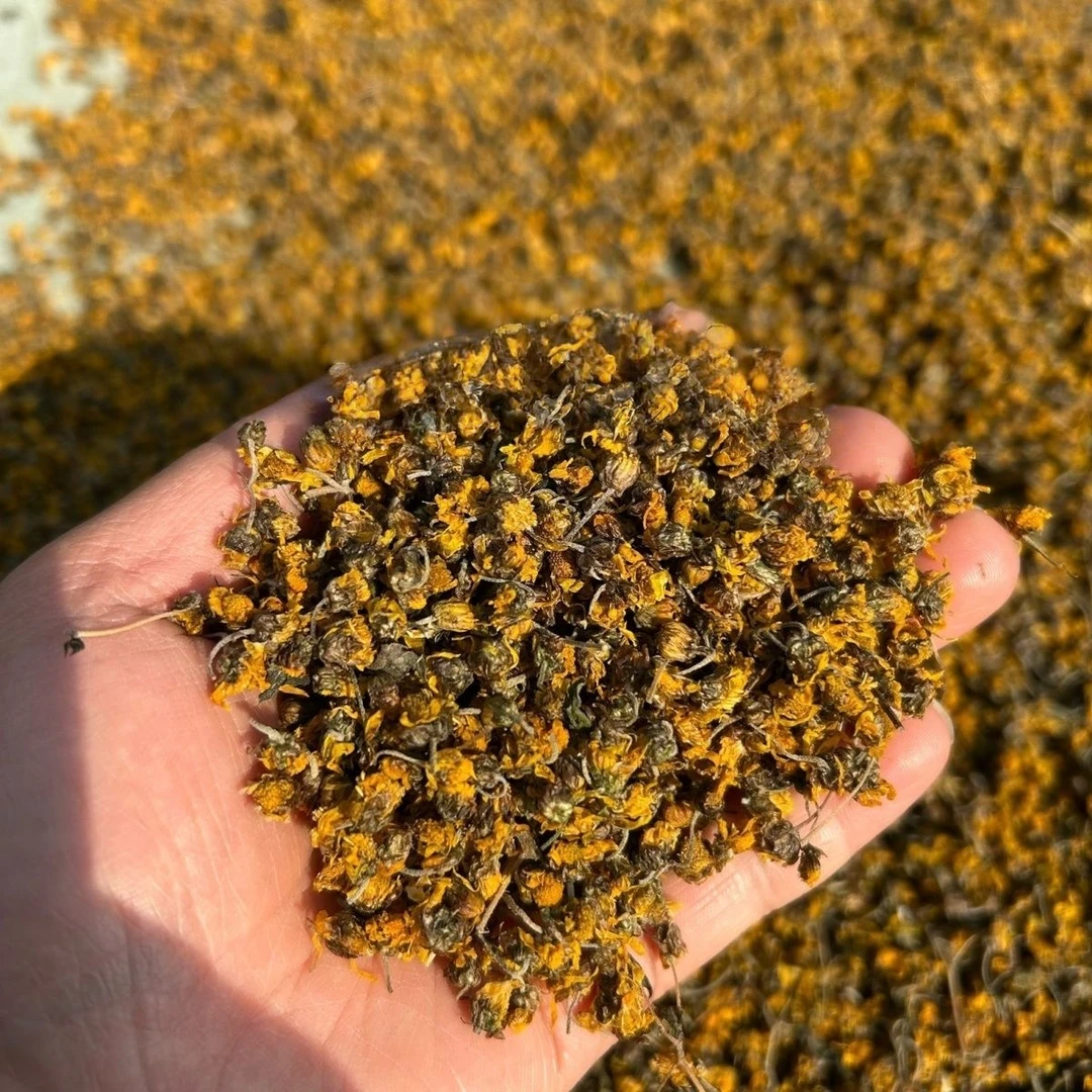 【王会长助农】贵州深山菊花    初级农产品晒干菊花