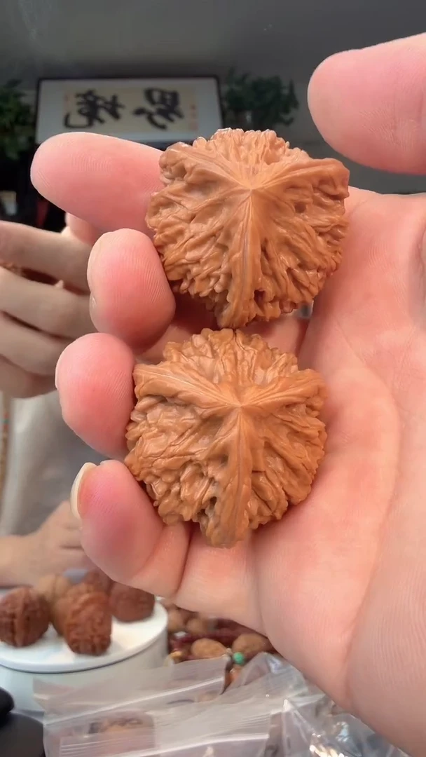 把件龙脊菩提ە****坤012 三棱 正奔