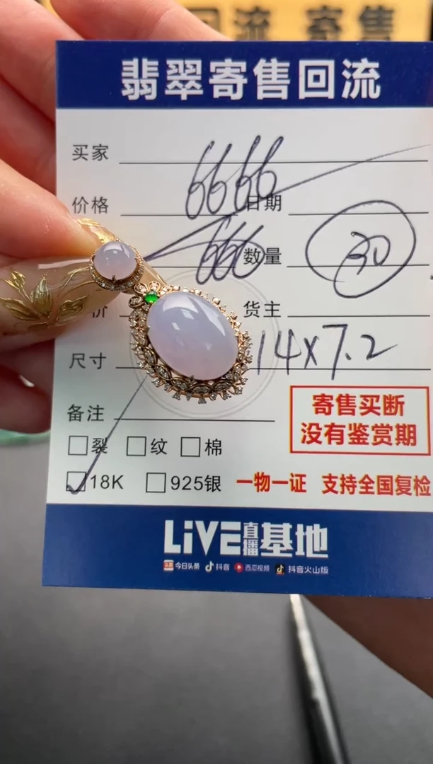 颈饰18K金镶嵌翡翠10146675