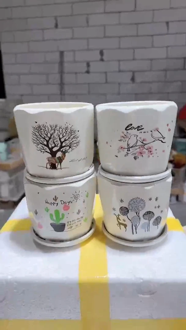 【闪购商品】陶瓷+14-10
