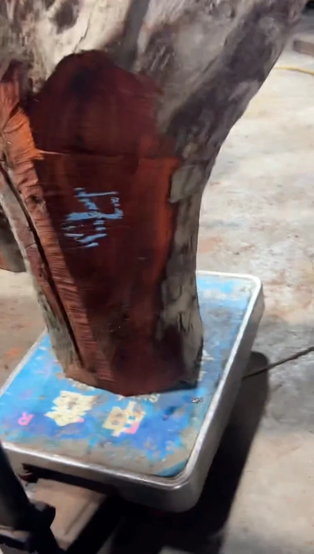 紫檀木类端景台七**香赞比亚血檀非洲紫檀