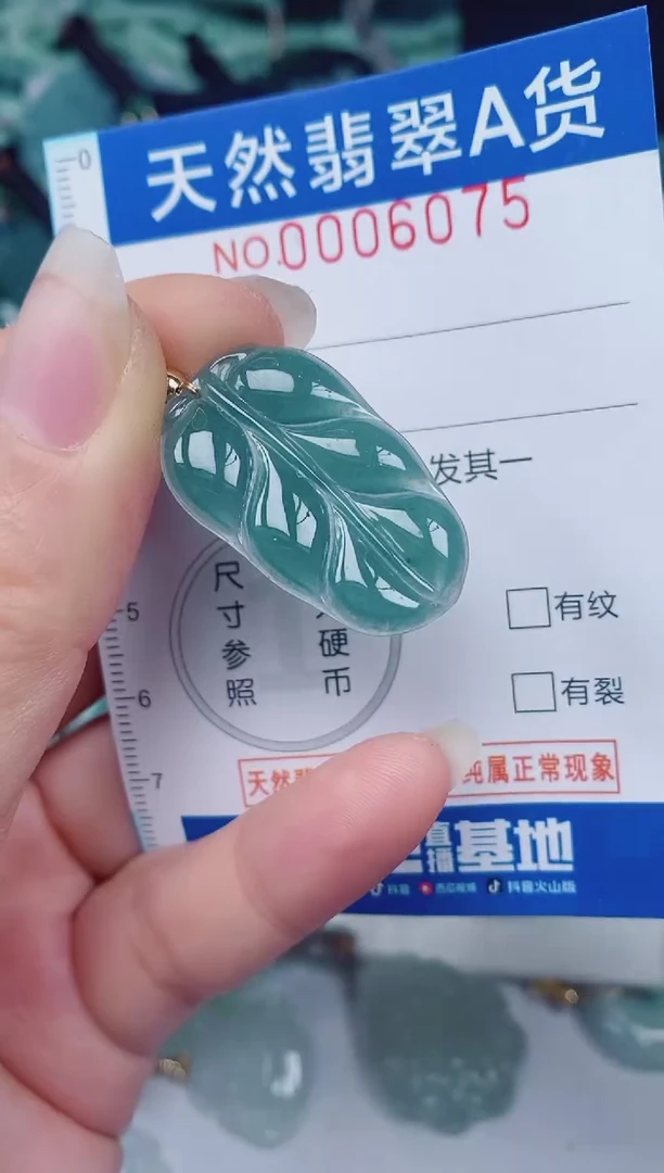 颈饰未镶嵌翡翠00006075