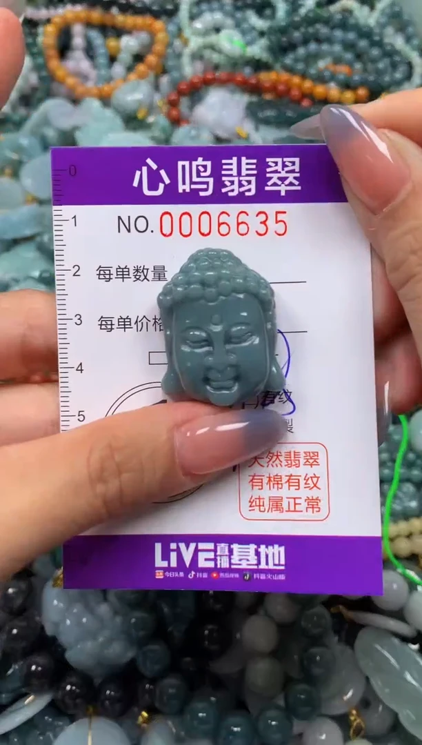 颈饰未镶嵌翡翠闪购006635